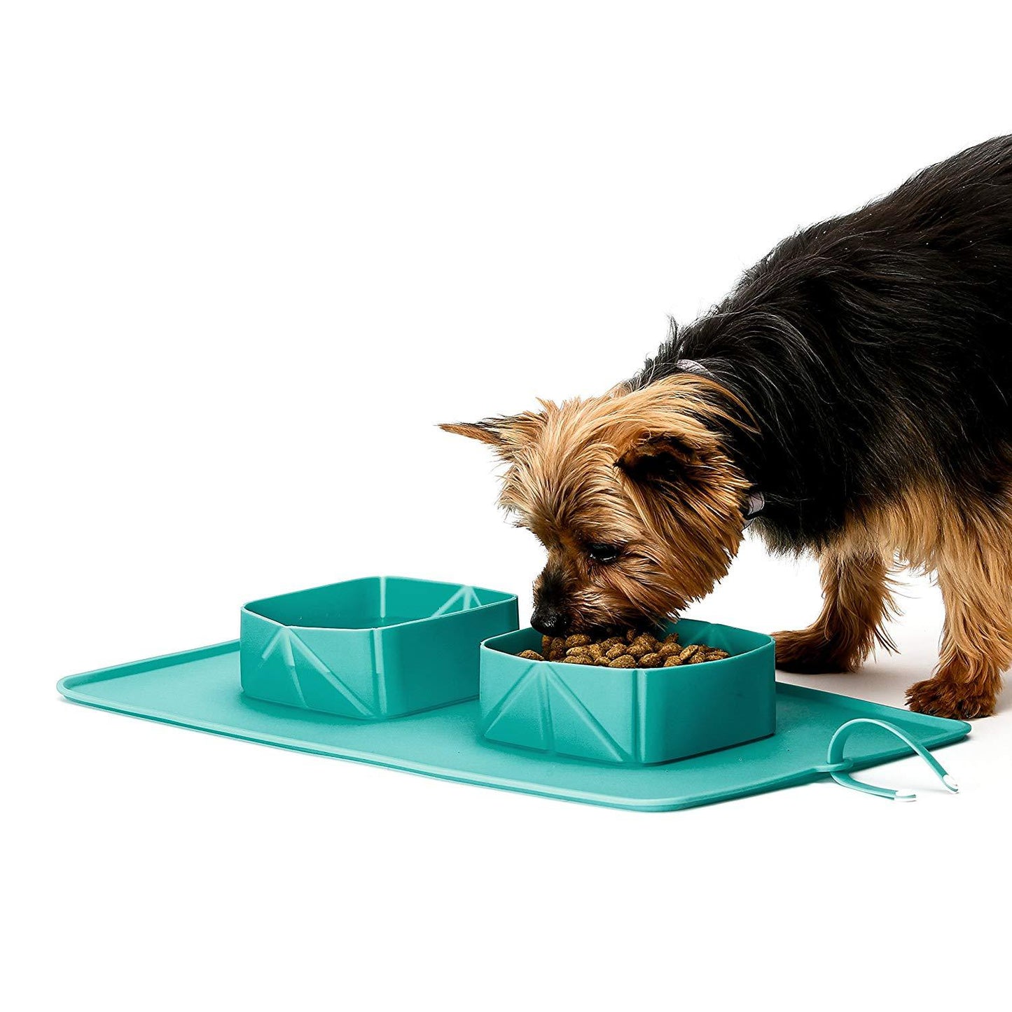 Portable Pet Bowl